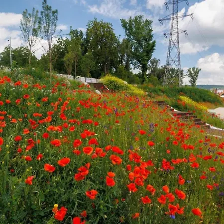 Lykke Living In Napoca Appartamento *