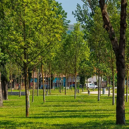 Lykke Living In Napoca Cluj-Napoca