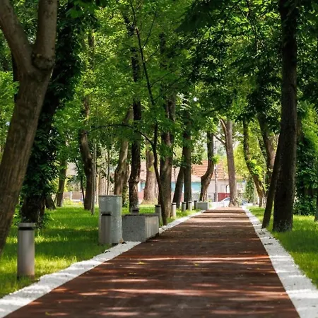 Lykke Living In Napoca Cluj-Napoca