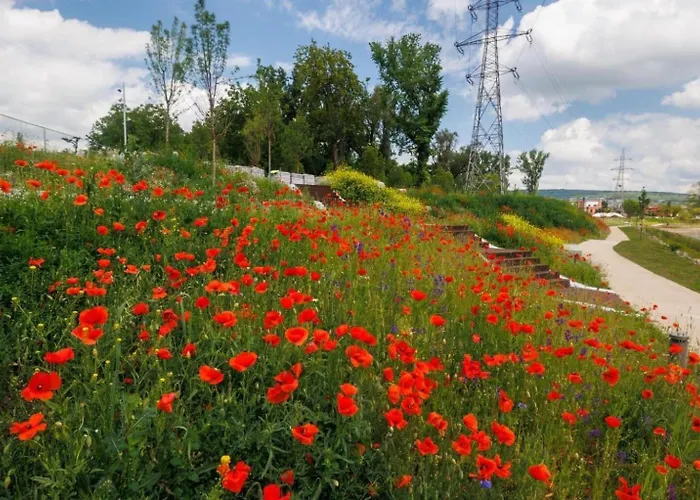 Lykke Living In Napoca Apartman *