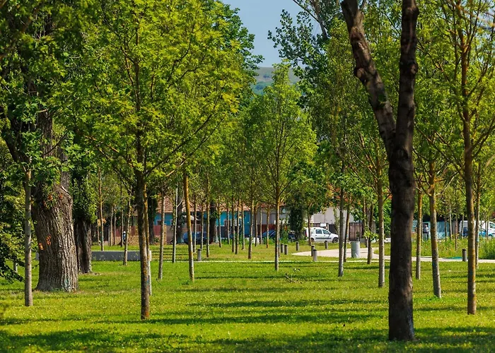 Lykke Living In Napoca קלוז'-נאפוקה