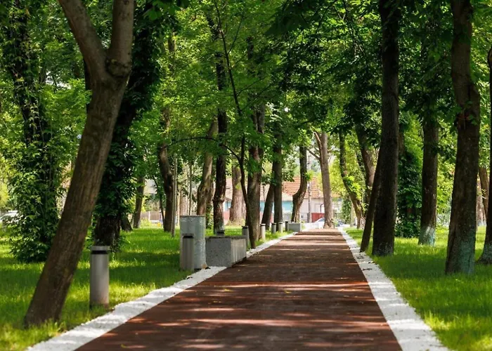 Lykke Living In Napoca Kolozsvár