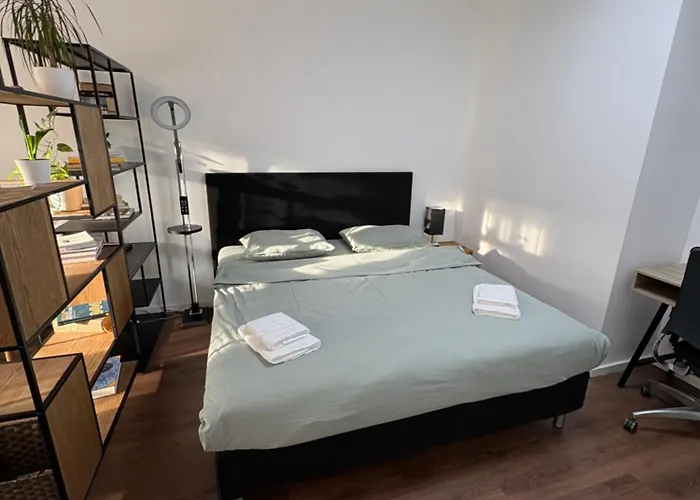 Lykke Living In Napoca