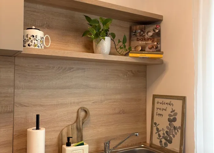 Lykke Living In Napoca Kolozsvár